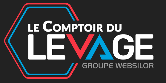 logo Comptoir du Levage